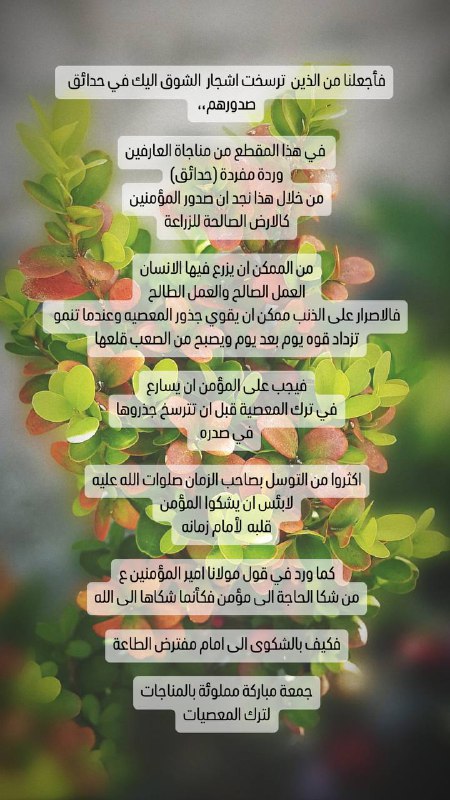 جمعة مهدوية مباركة