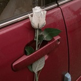 إ• المطيري