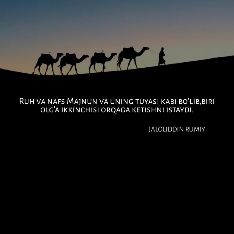 Ruh va nafs Majnun va uning …