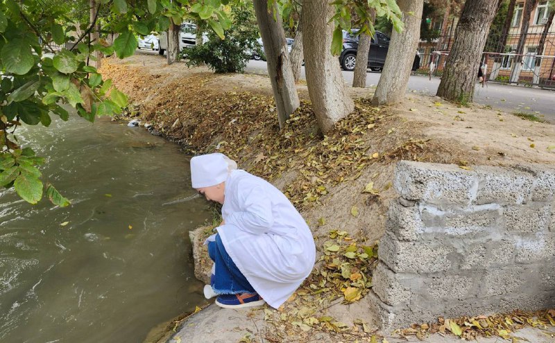 Toshkent shahridagi Mirobod tumanida “Tolimarjon” ko'chasidagi …