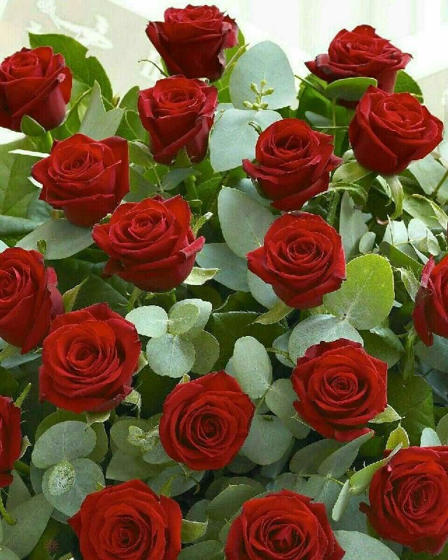 تو باشکوه تر از آن چیزی …