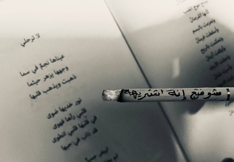 نـِـوُטּ •