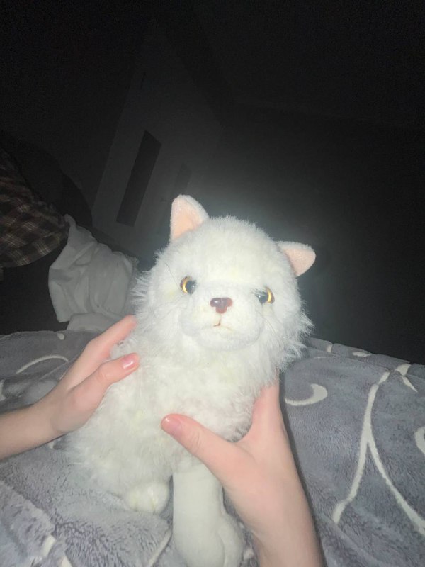 k0dеинчик🌃