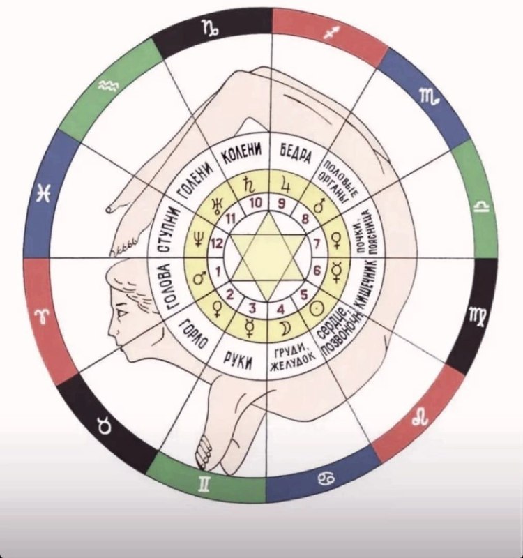 Каждый знак зодиака отвечает за определенные …