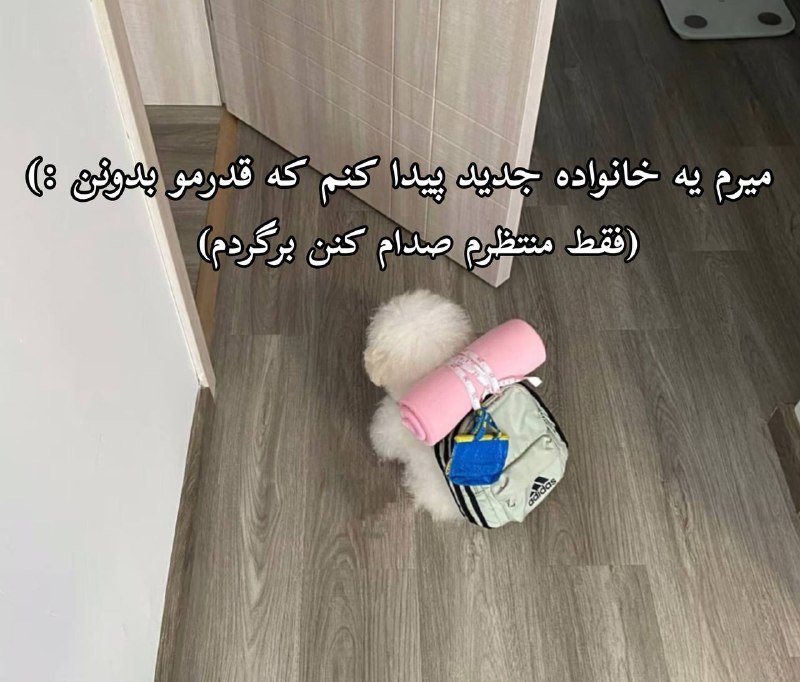 ꪶ𝓜𝔂 𝓷𝓸𝓽𝓮𝓼Ꮺ࣭۪