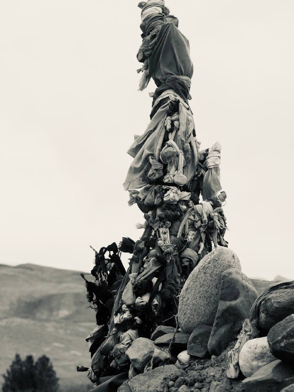 نــوشتـہ هایـــــم🤍