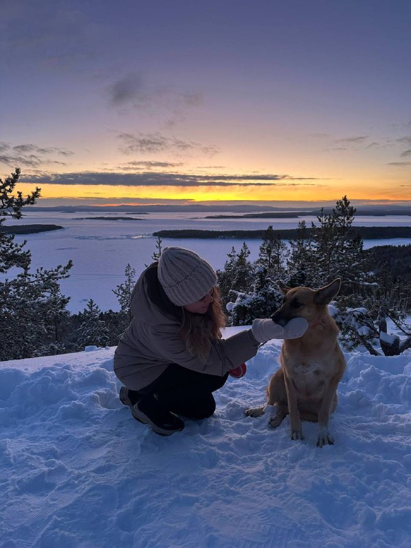 Всем привет от Алисы ***🐕***