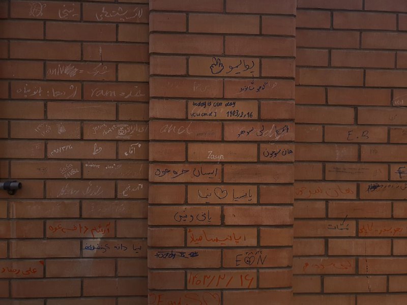 گردهمایی نوازندگان دیوانه؛