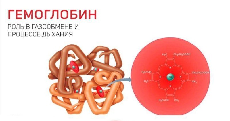 Окисление гемоглобина