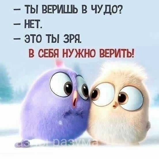 [#Взаимоотношения](?q=%23%D0%92%D0%B7%D0%B0%D0%B8%D0%BC%D0%BE%D0%BE%D1%82%D0%BD%D0%BE%D1%88%D0%B5%D0%BD%D0%B8%D1%8F) [#Комплимент](?q=%23%D0%9A%D0%BE%D0%BC%D0%BF%D0%BB%D0%B8%D0%BC%D0%B5%D0%BD%D1%82)