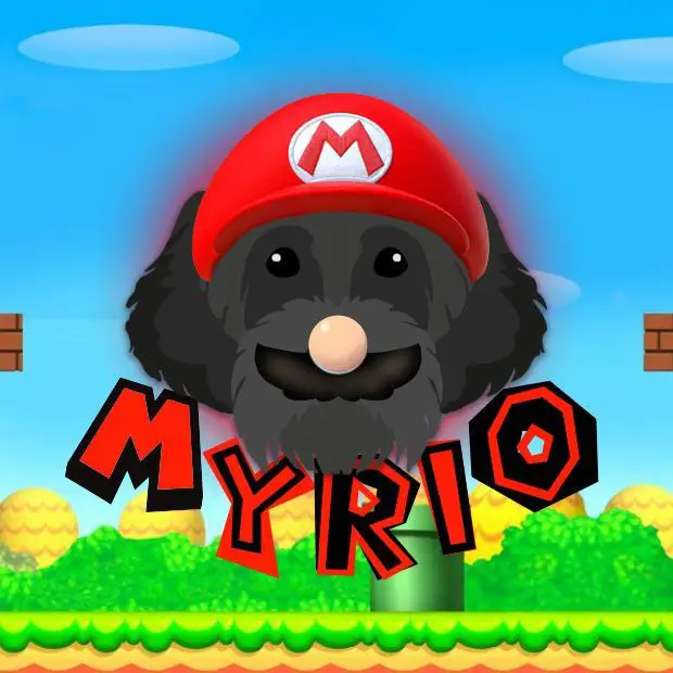***🪙***Meet Myrio, the paw-some fusion of …