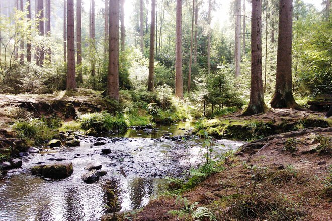 ***‼️***Aufruf: Bitte unterschreibt und leitet diese …