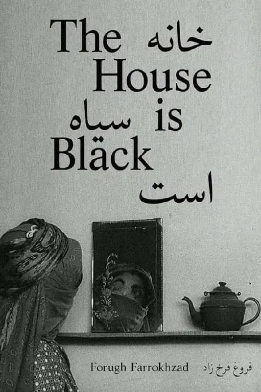 ***🤩*** **دانلود فیلم خانه سیاه است**