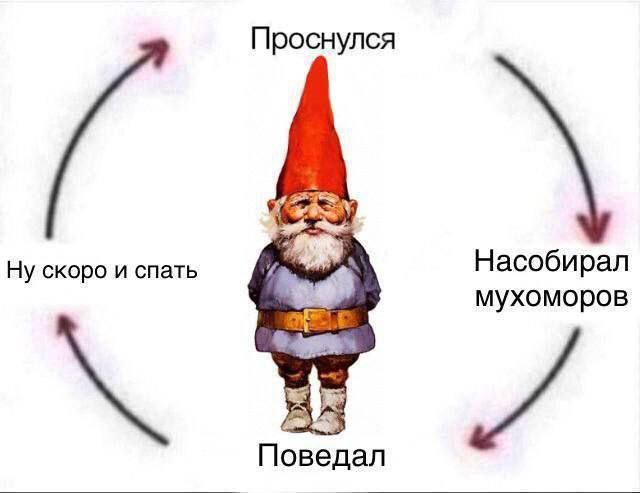 **По всем вопросам, пишите, звоните: