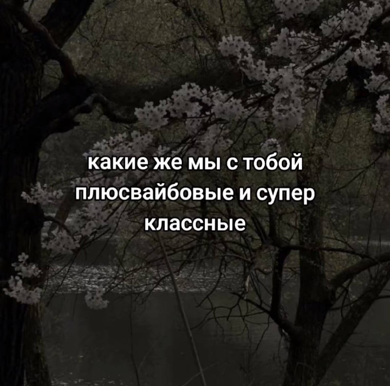 барби маришка
