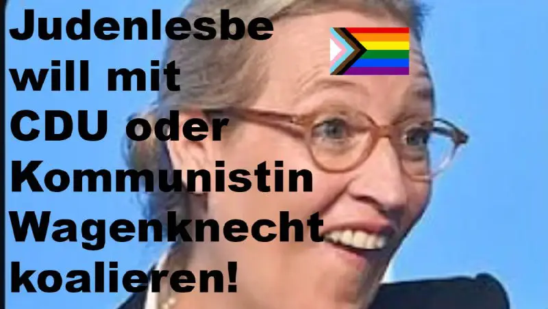 **Judenlesbe Weidel CDU-Koalition Wagenknecht &amp; Gil Ofarim gesteht Judenlüge**