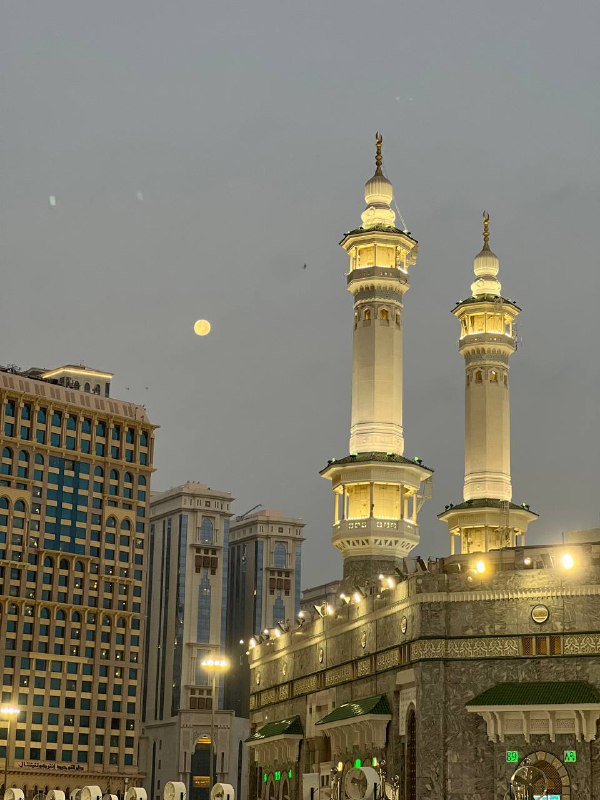 نُــــون ||١٤٤٦هـ
