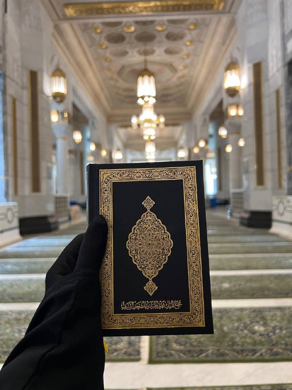 نُــــون ||١٤٤٦هـ