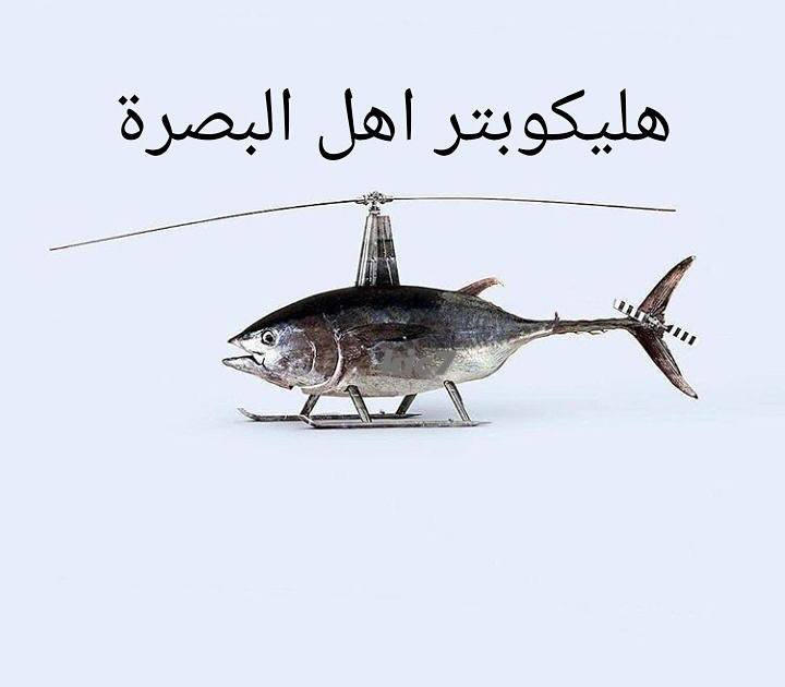 هاااا بصرهه ***🤣******🤣***