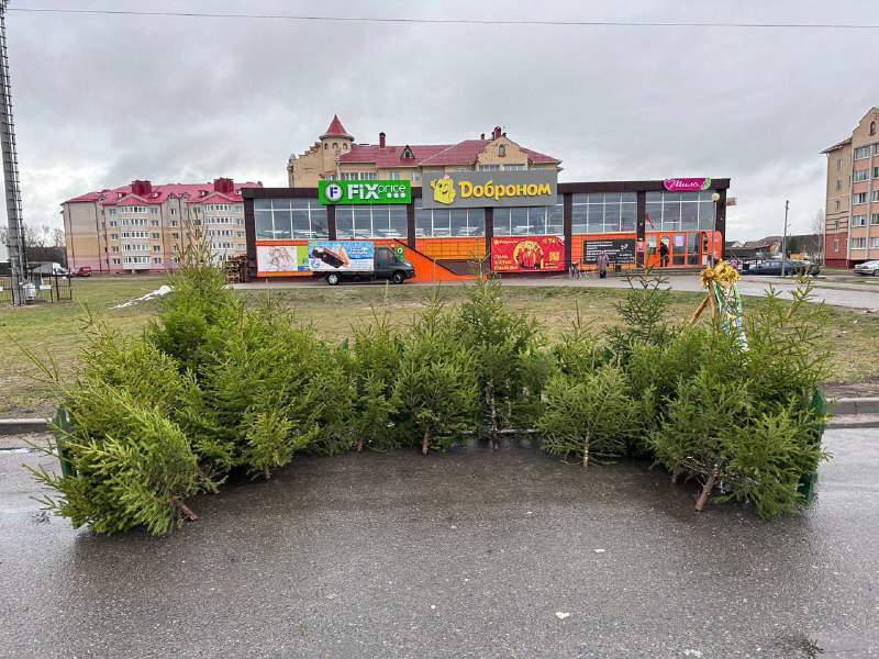 *****🌲***Уже завтра в Вилейке стартуют елочные …