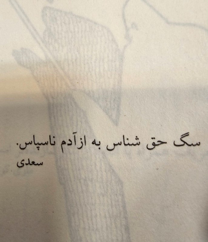 سگ ِ حق شناس بِه از …