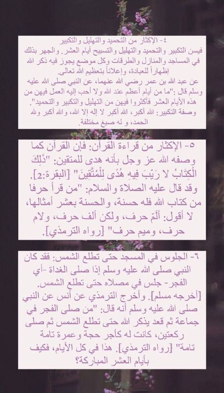 نـبـض💕🧚🏻‍♀>>