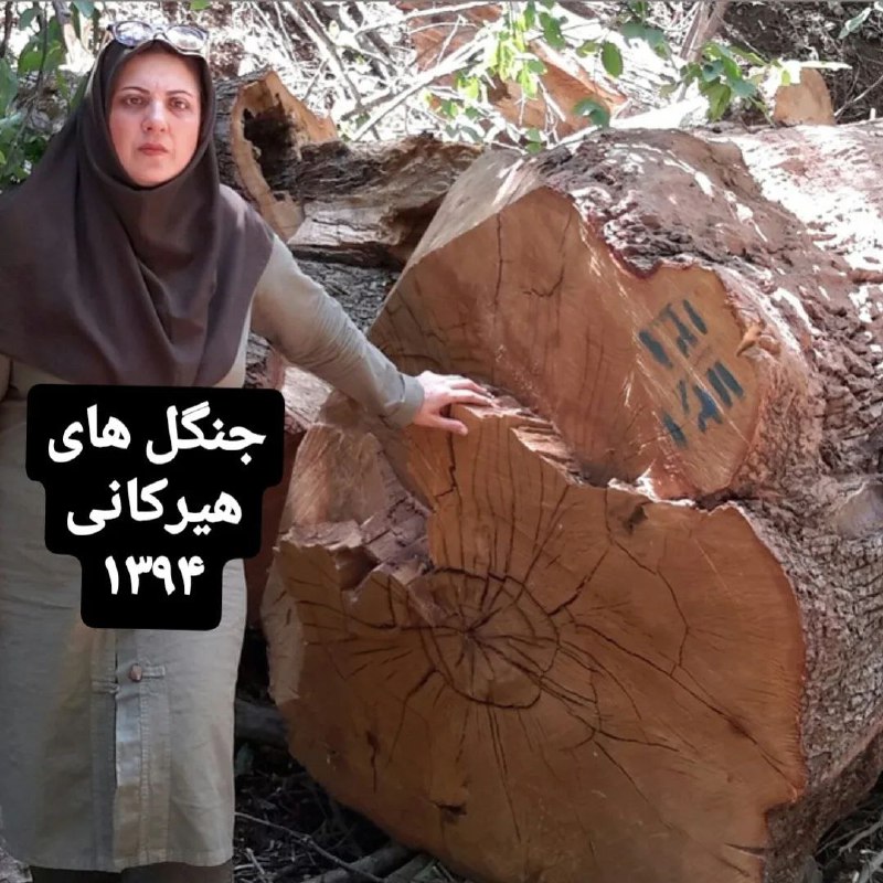 [‍](http://axnegar.fahares.com/axnegar/7859cd034ad88d594b4ec473bf903cc7AgACAgQAAxkBCMES5mdBbJ539Rrt5U7t-2Qce5NcMmiuAAJbwDEbE7gRUmtLk_KA_lIKAQADAgADeQADNgQ.jpg) .[@elahe](https://t.me/elahe) musavi