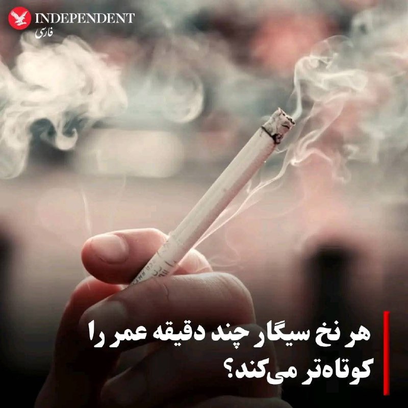 تحقیقات جدید نشان می‌دهد هر سیگار …