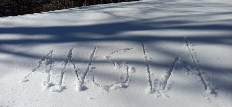 AUTONOMICZNI NACJONALIŚCI STALOWA WOLA