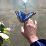 [فِـ الليلة التى أخبرتنى فيها أنّڪكَ …