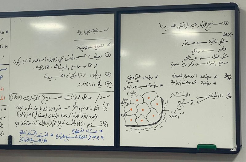 الاستاذة نادية خليل النعيمي