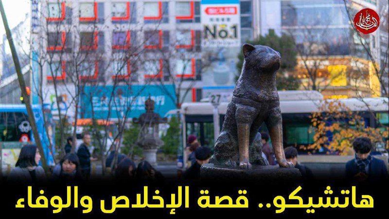 كان هاتشيكو كلبًا حقيقيًا عاش في …