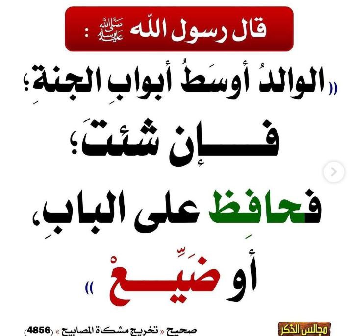عَلَى نَهْج الأسلافِ ودُروبهُم..🌧