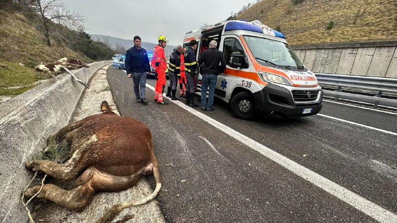 Oggi, mercoledì 18 dicembre, intorno alle …