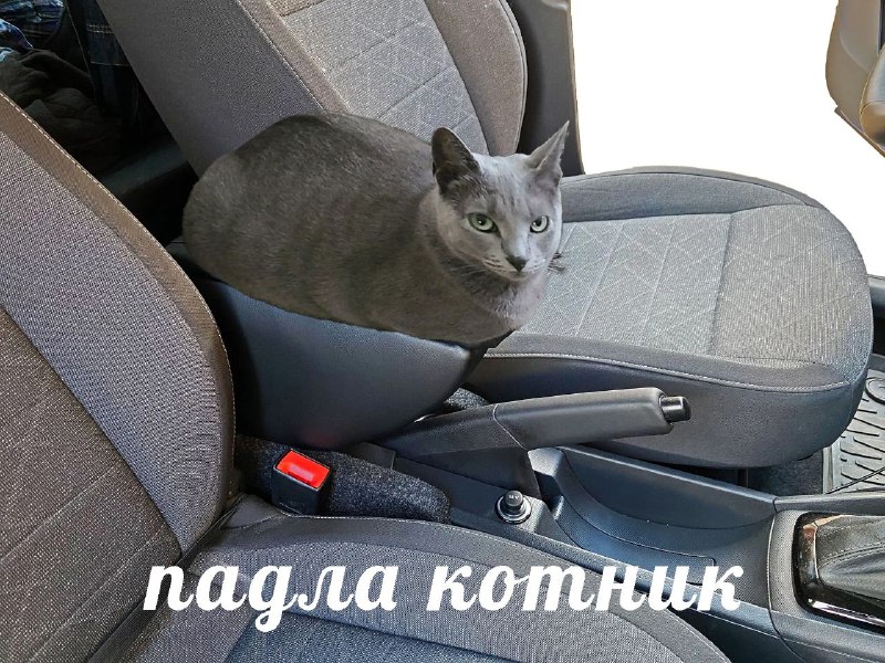 Мемы наймарка и Ко