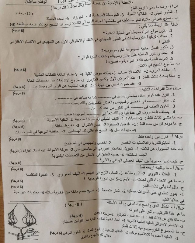 الأحياء / الاستاذة نجاة المندلاوي