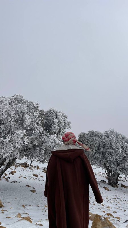 مهند السعيديين 🇯🇴