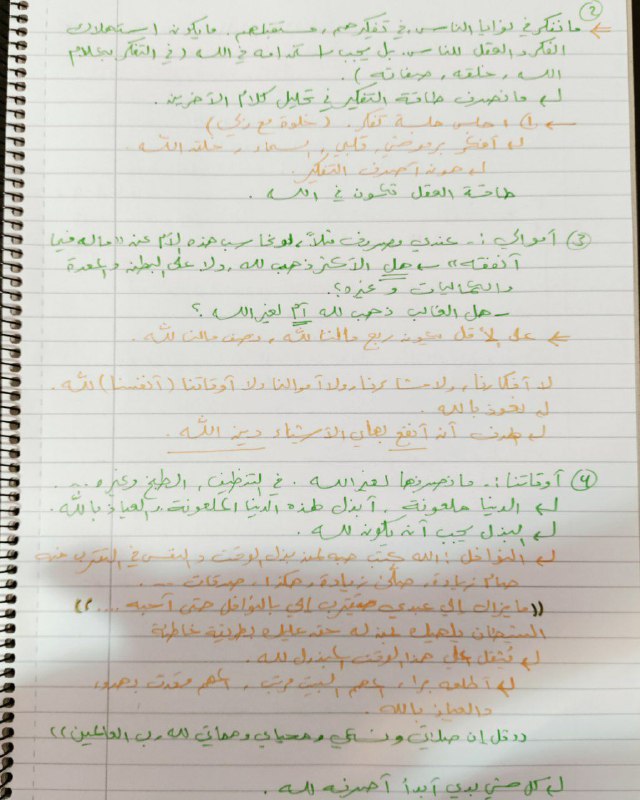 🌴 نخلات أرض الهدى 🌴