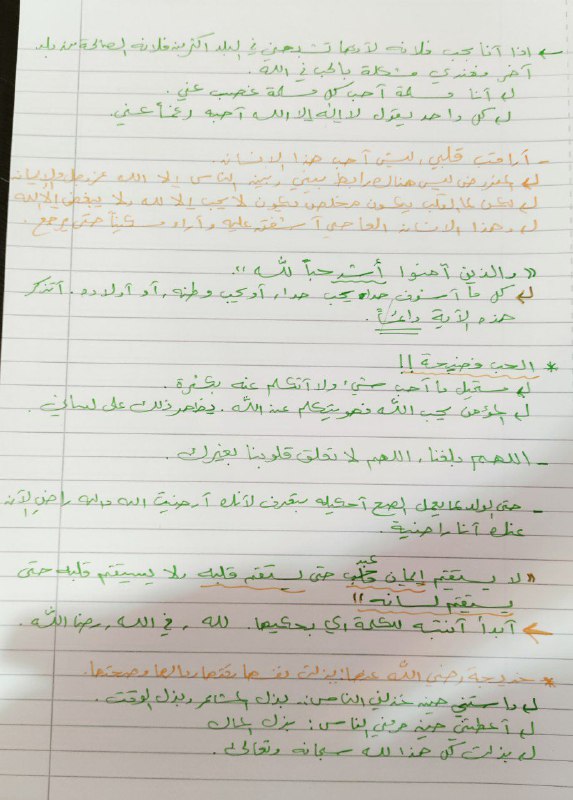 🌴 نخلات أرض الهدى 🌴