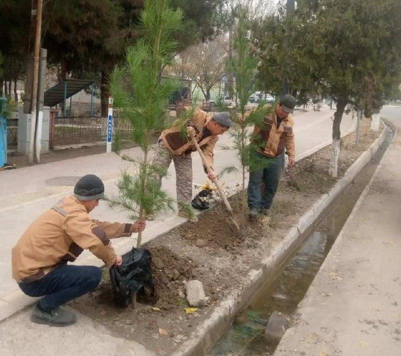 “HUDUDIY ELEKTR TARMOQLARI” AJ NAMANGAN HUDUDIY …