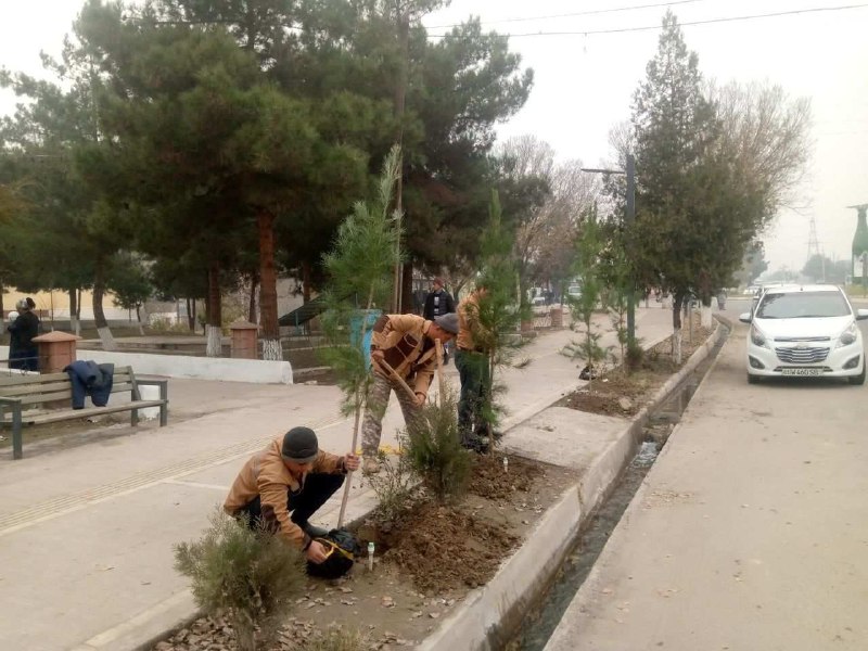 “HUDUDIY ELEKTR TARMOQLARI” AJ NAMANGAN HUDUDIY …