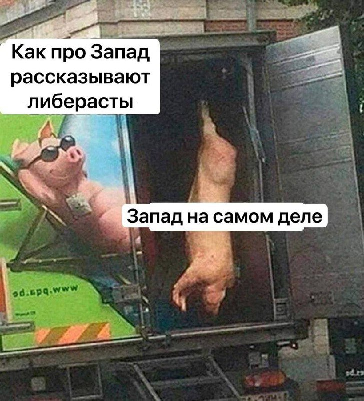 База