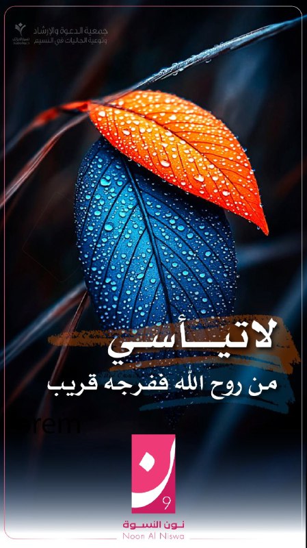 نون النسوة 09