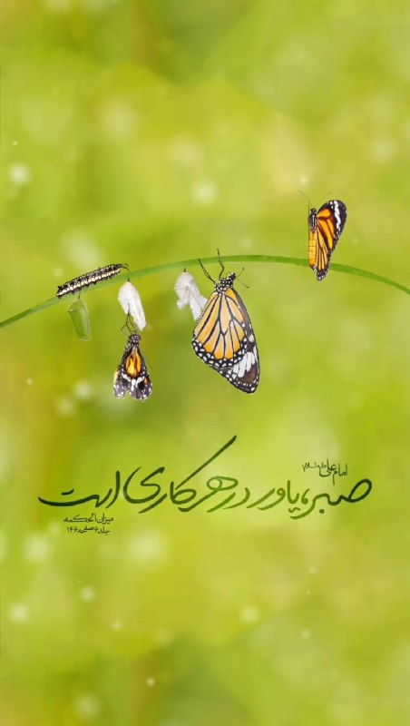 ***?***امیرالمؤمنین [#امام\_علی](?q=%23%D8%A7%D9%85%D8%A7%D9%85_%D8%B9%D9%84%DB%8C) علیه‌السلام:
