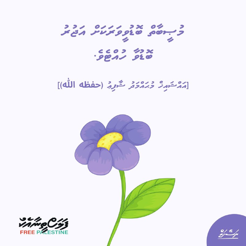 މުޞީބާތް ބޮޑުވީވަރަކަށް އަޖުރު ބޮޑުވާ ހުއްޓެވެ.