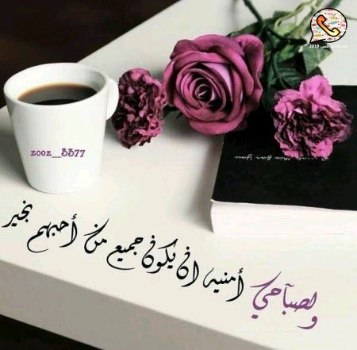 صباحكم الله بكل خير وسعادة وادام …
