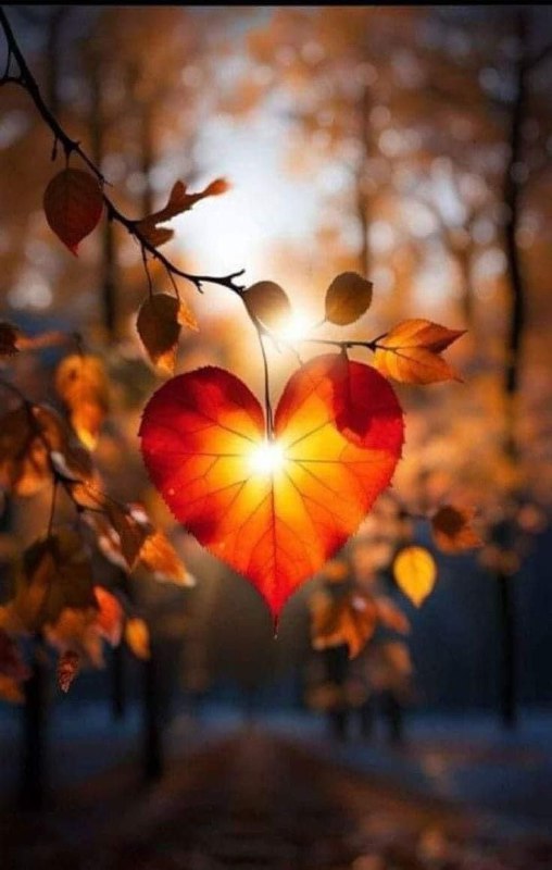 ☕️نٌآسًسًـكَآفُيّةُ✨💫 ⁞