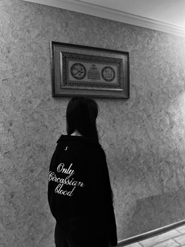 •Обратная связь•