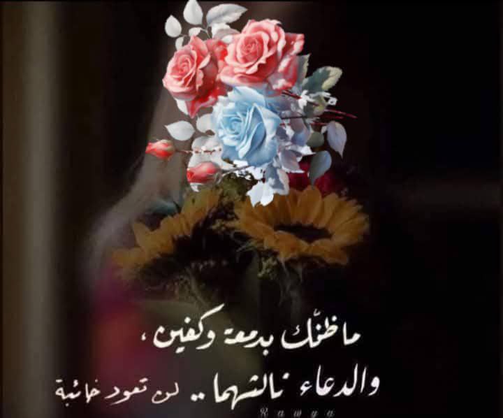 لن تعود خائبة ، إذا إرتفعت …
