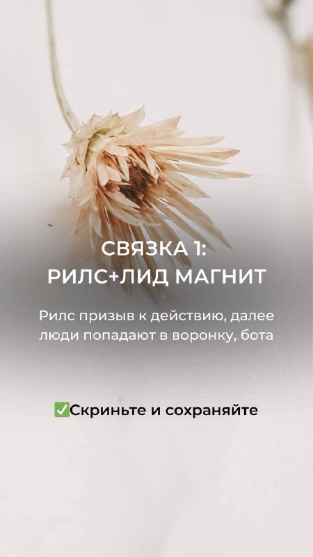 Связка 1: рилс+лид магнит. Рилс призыв …